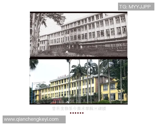 退役足球明星重聚畅谈往昔岁月共同回忆绿茵场上的辉煌时刻