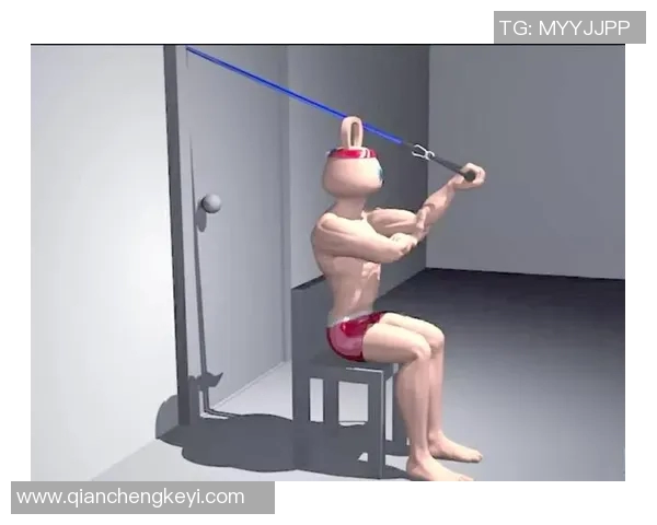 全面提升力量与柔韧性健身器材拉力绳的多功能训练指南与使用技巧